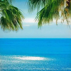 惜别的海岸钢琴谱