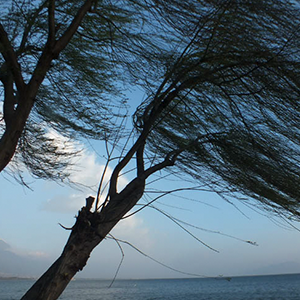 轻柔的风钢琴谱