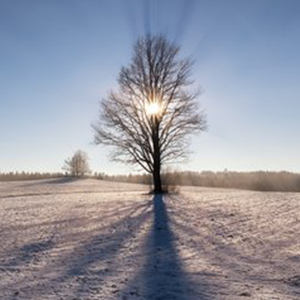 晴朗的冬日钢琴谱