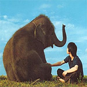 Shining Boy And Little Randy-౾һ-D-