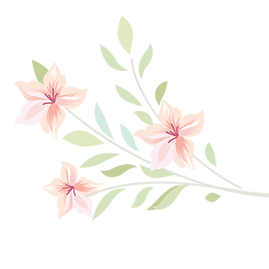 花园种花钢琴谱