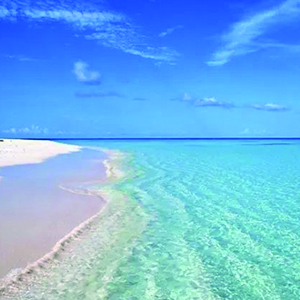 惜别的海岸钢琴谱