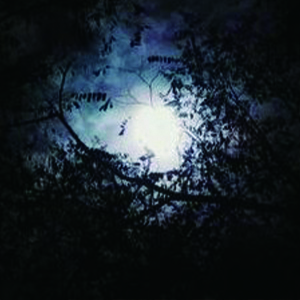 Pehla Nasha钢琴谱