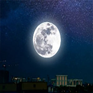 In the Silver Moonlight-ҫ-B-