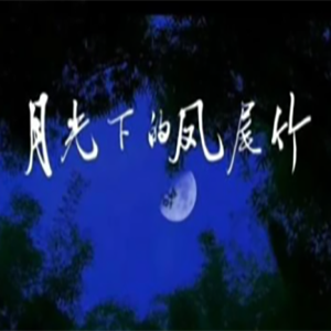 月光下的凤尾竹钢琴谱