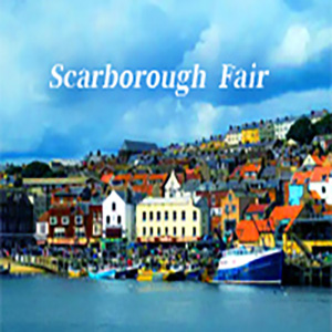  Scarborough Fair-Simon & Garfunkel-D-