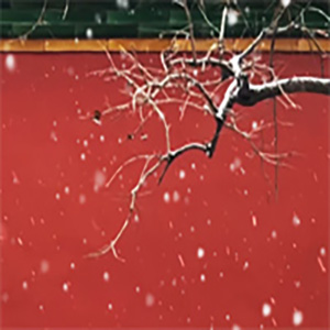  雪落下的声音钢琴谱