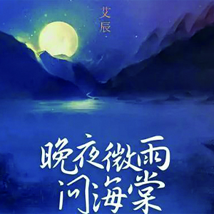 晚夜微雨问海棠钢琴谱