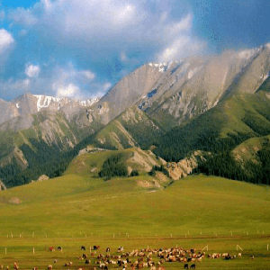 阿瓦日古丽钢琴谱