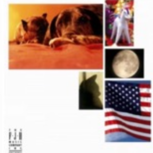 聪明的猫钢琴谱