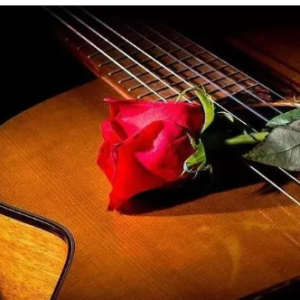 爱的罗曼史钢琴谱