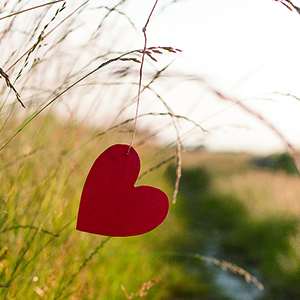 勇敢的心钢琴谱