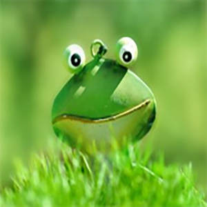Coloured Frog
