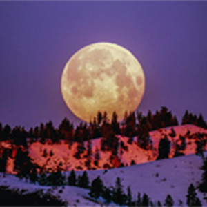 Rises the Moon