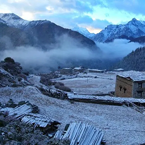 Snow Flowers on the Highland钢琴谱