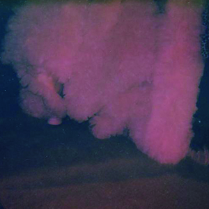 How Great Is Our God钢琴谱