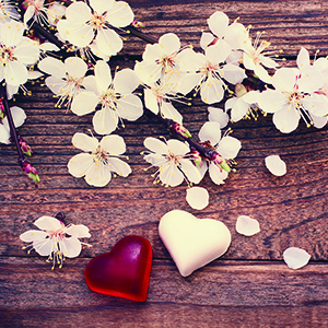 爱的主打歌钢琴谱