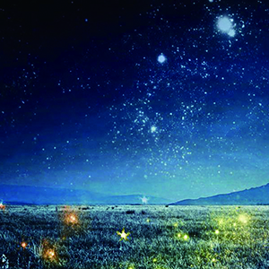 夜的第七章钢琴谱