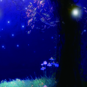 žҹ