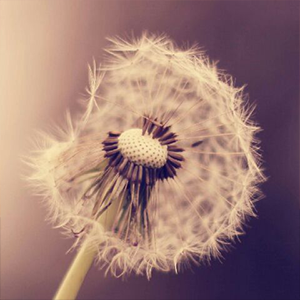 开往早晨的午夜钢琴谱