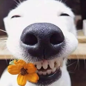 你笑起来真好看钢琴谱