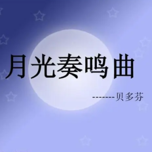 ¹ڶ¸--D-и