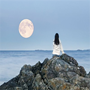 你的万水千山钢琴谱