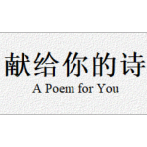 献给你的诗钢琴谱