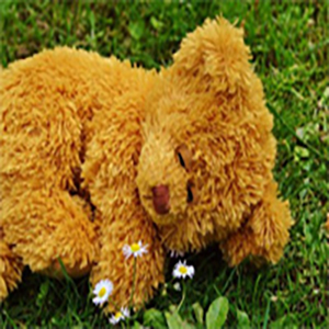 Sweet Dreams钢琴谱