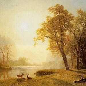 爱的礼赞钢琴谱