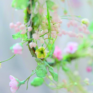 所有的祝福钢琴谱