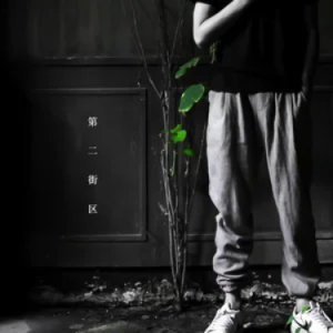 紵׸--C-