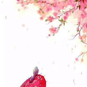 千金散尽钢琴谱