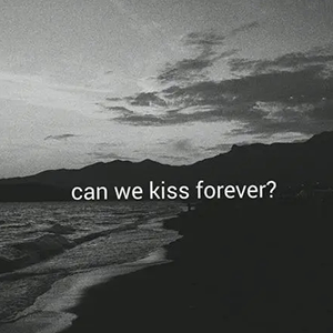 Can We Kiss Forever钢琴谱