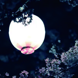 孤独的巡礼钢琴谱