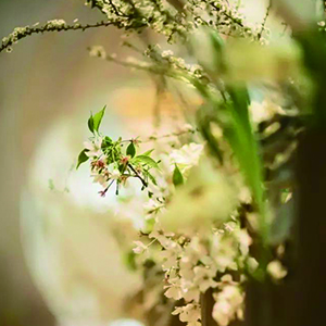 回首遇见钢琴谱