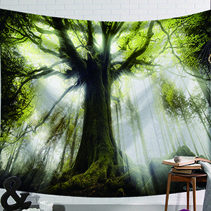 美国挂毯钢琴谱