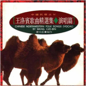 在那遥远的地方钢琴谱