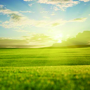 我从草原来钢琴谱