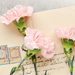 给自己的信钢琴谱