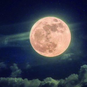 你看你看月亮的脸钢琴谱