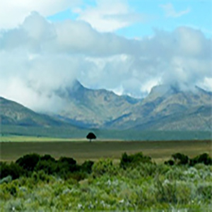 遥远的旅途钢琴谱