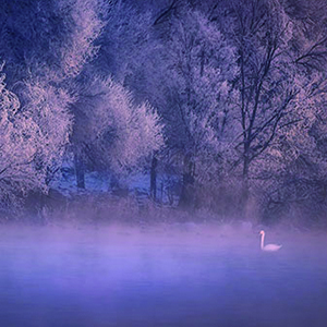 在此停留钢琴谱