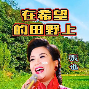  在希望的田野上钢琴谱