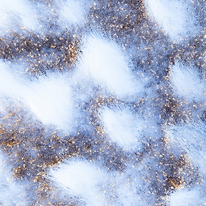 Ļ