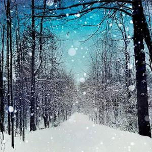 Softly Falling Snow钢琴谱