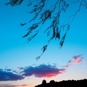 晚风心里吹钢琴谱