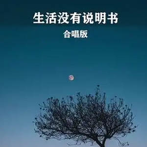 生活没有说明书钢琴谱