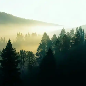 Bright and Fluffy钢琴谱