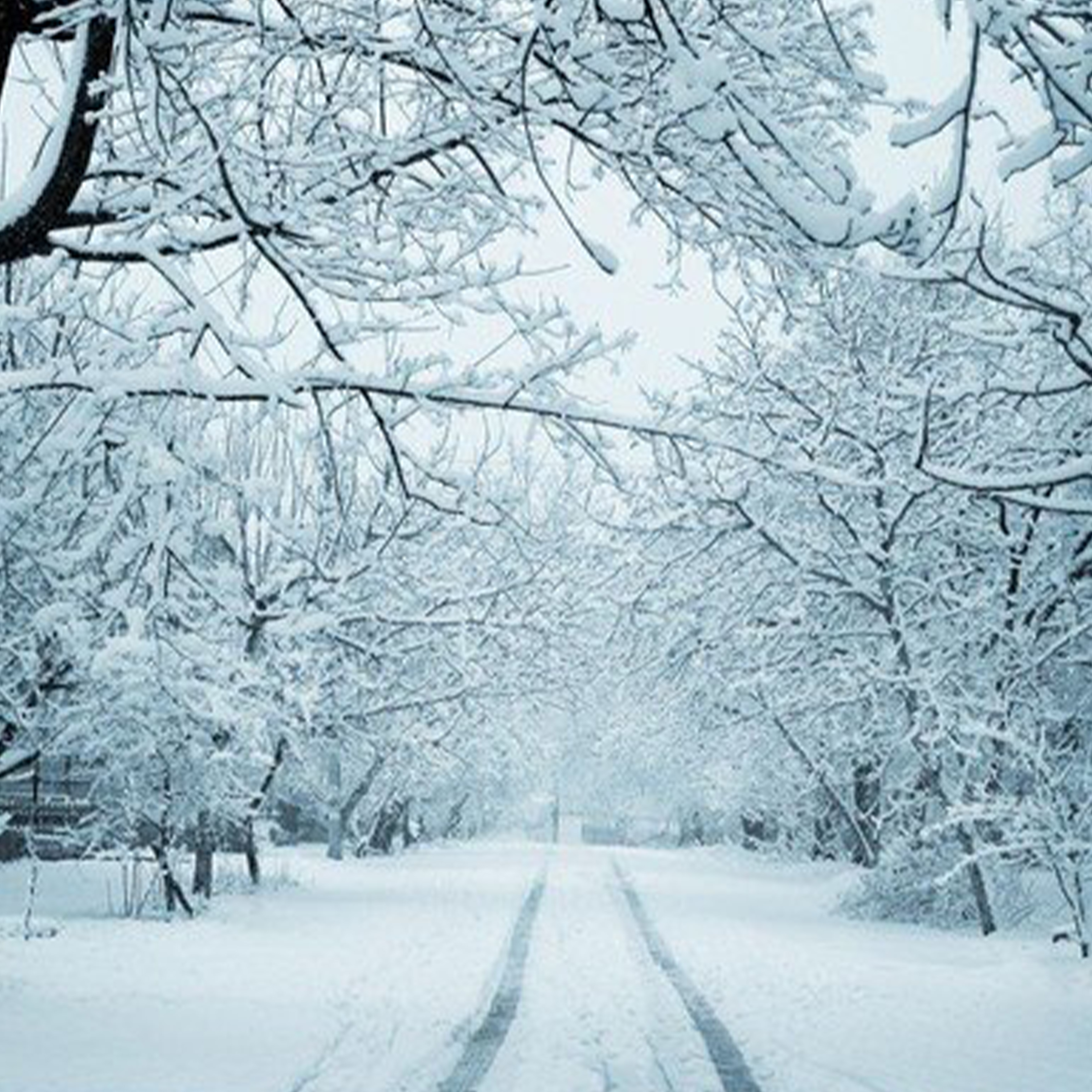 Sleigh Ride钢琴谱